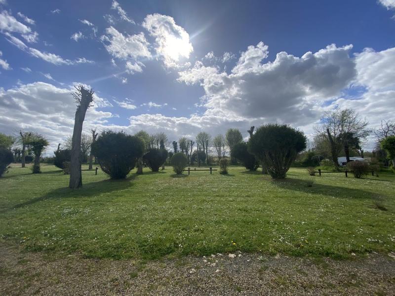 Terrain - 34 073 m²