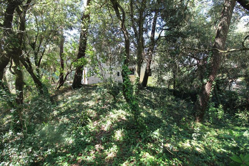 Maison - 94 m² - 5 pièces