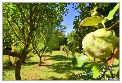 Maison - 146 m² - 5 pièces