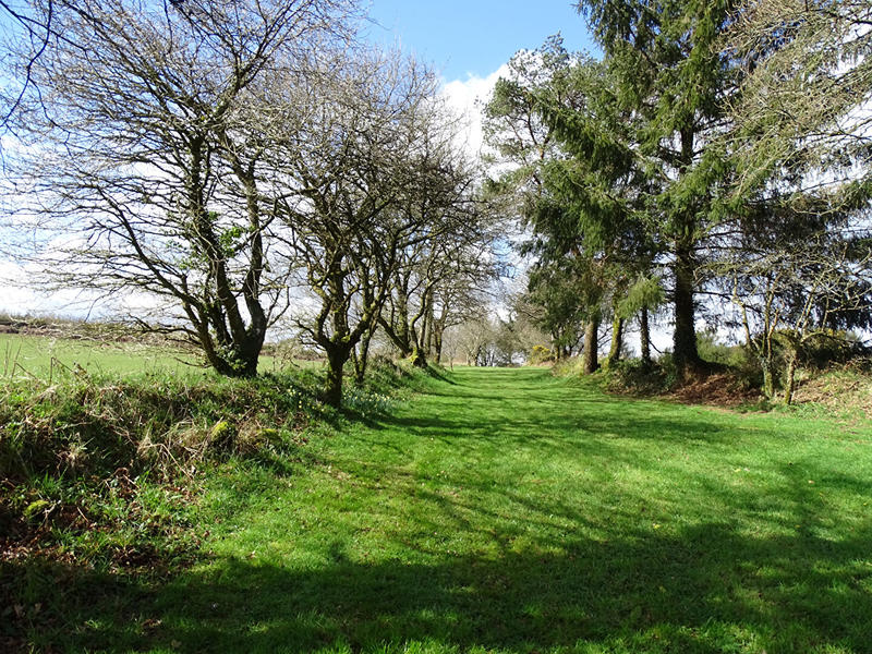 Maison - 75 m² - 5 pièces