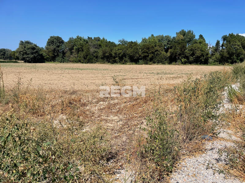 Mas - 200 m² - 4 pièces