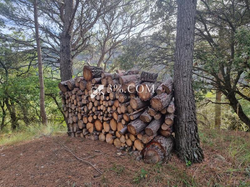 Mas - 150 m² - 5 pièces