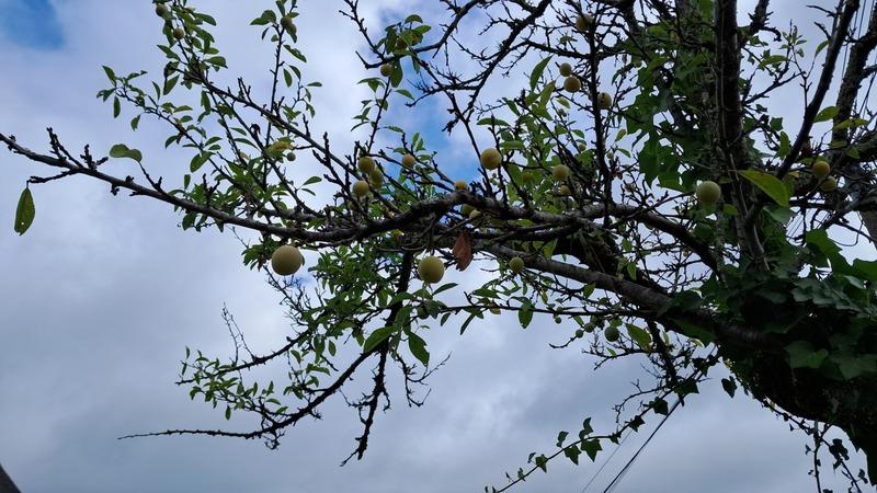 Maison - 114 m² - 5 pièces