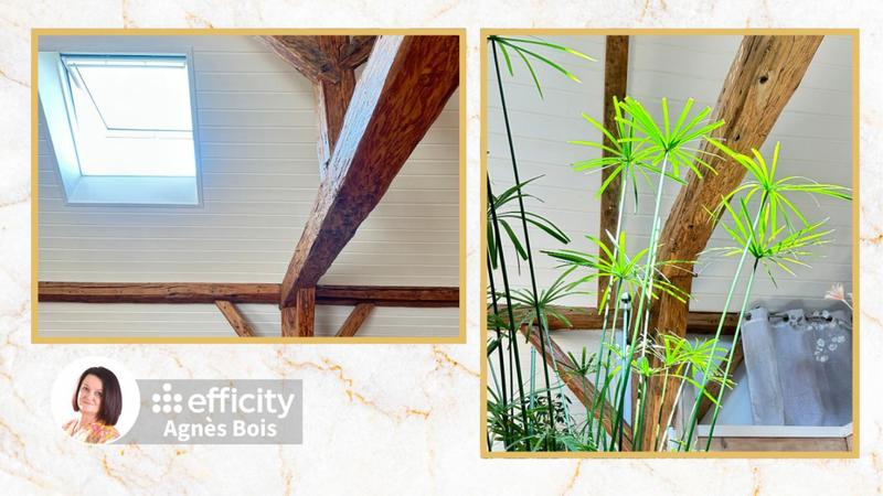 Maison - 297 m² - 7 pièces