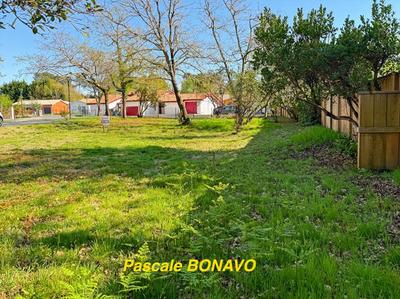 Terrain constructible - 732 m²