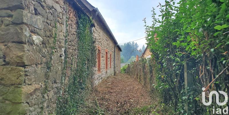 Maison de campagne - 100 m² - 6 pièces