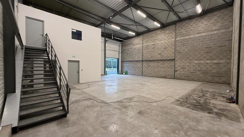 Entrepôt - 350 m² - 4 pièces