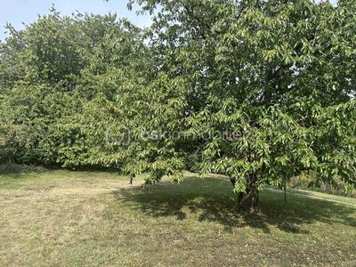 Maison - 65 m² - 4 pièces