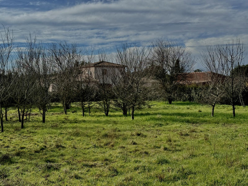 Terrain - 2 478 m²