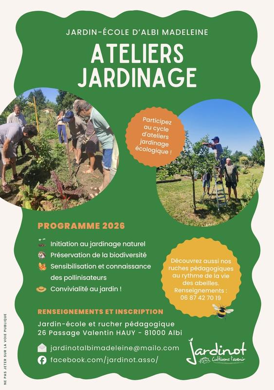 Animation – Taille des arbres et arbustes : les bons gestes au bon momen