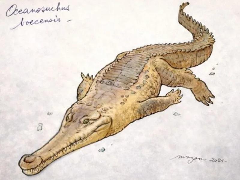 Conférence : "Taxonomie pour les nuls : 4 exemples de crocodiles Normands et la parabole des voitures françaises"