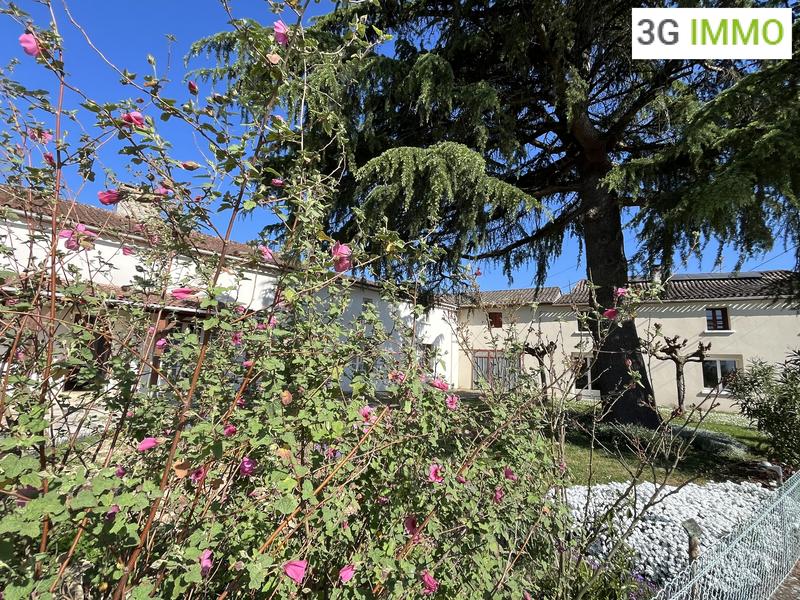 Maison en pierre - 213 m² - 9 pièces