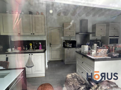 Viager - Maison - 205 m² - 9 pièces