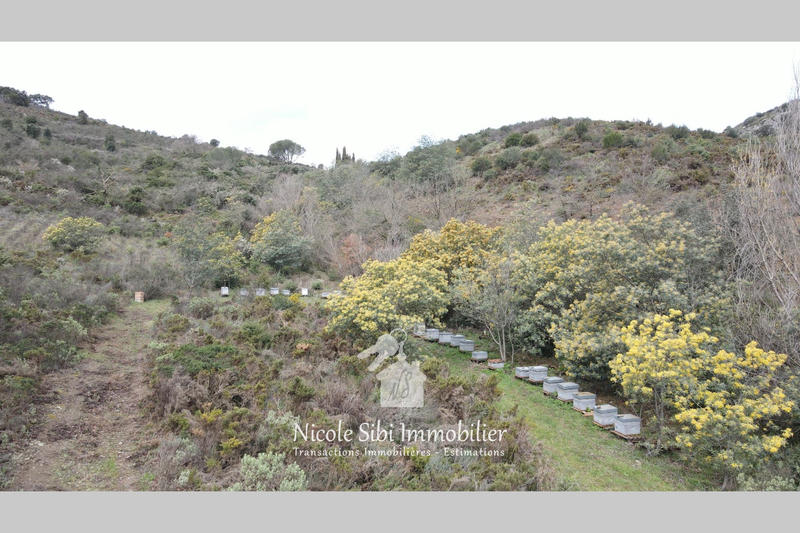 Terrain - 54 574 m²