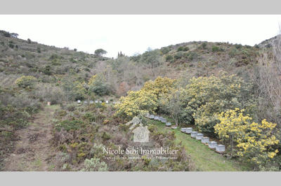 Terrain - 54 574 m²