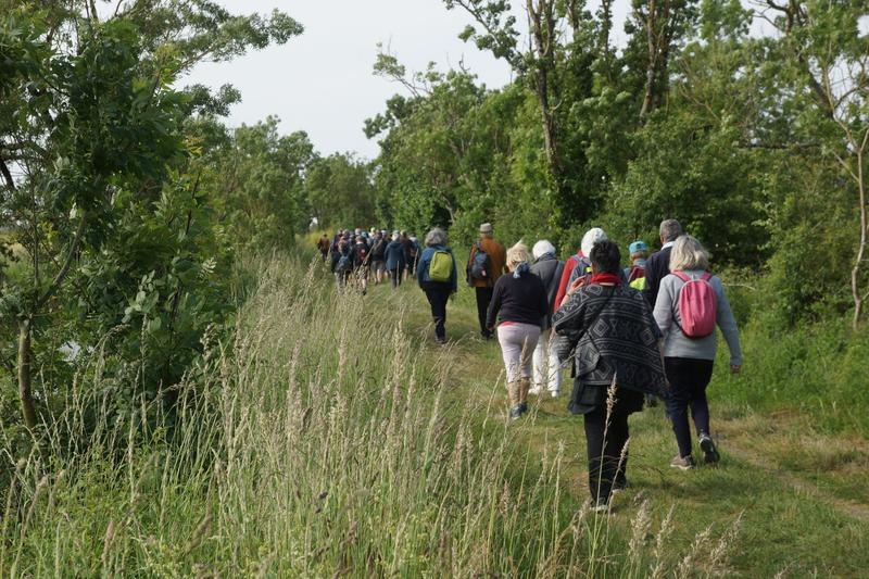 Marche pour le Téléthon 2025