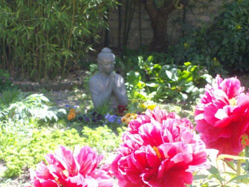 Association Fleur de Lotus