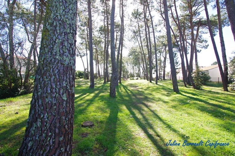 Maison - 34 m² - 2 pièces