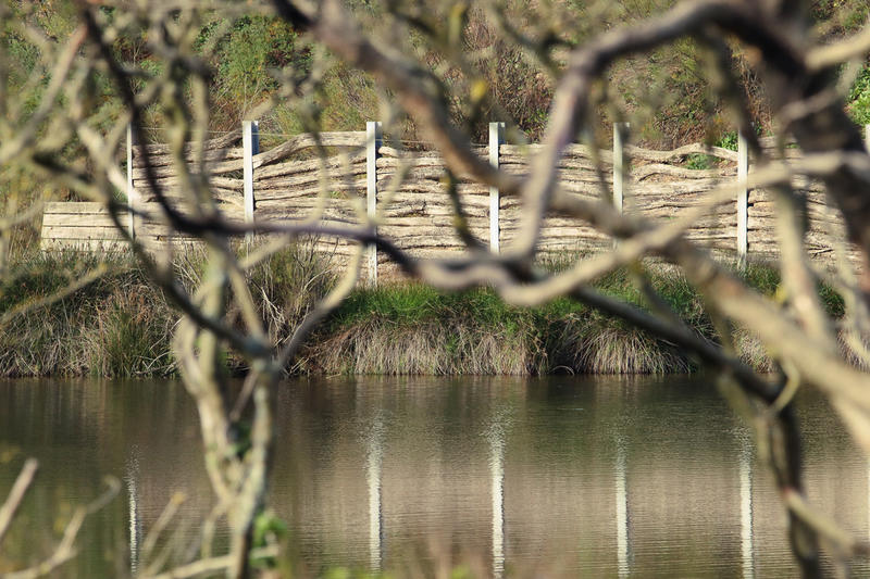 Plongez au cœur des zones humides d’Izadia