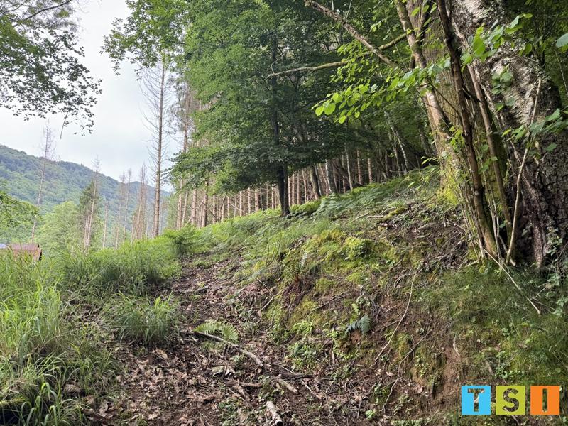 Maison - 25 m² - 1 pièce