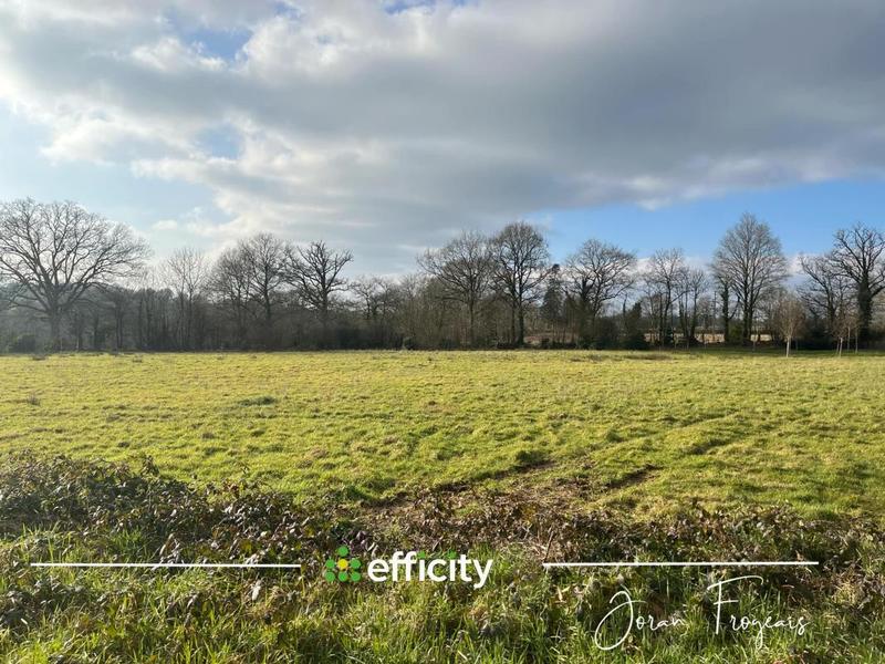 Terrain - 11 000 m²