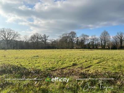 Terrain - 11 000 m²