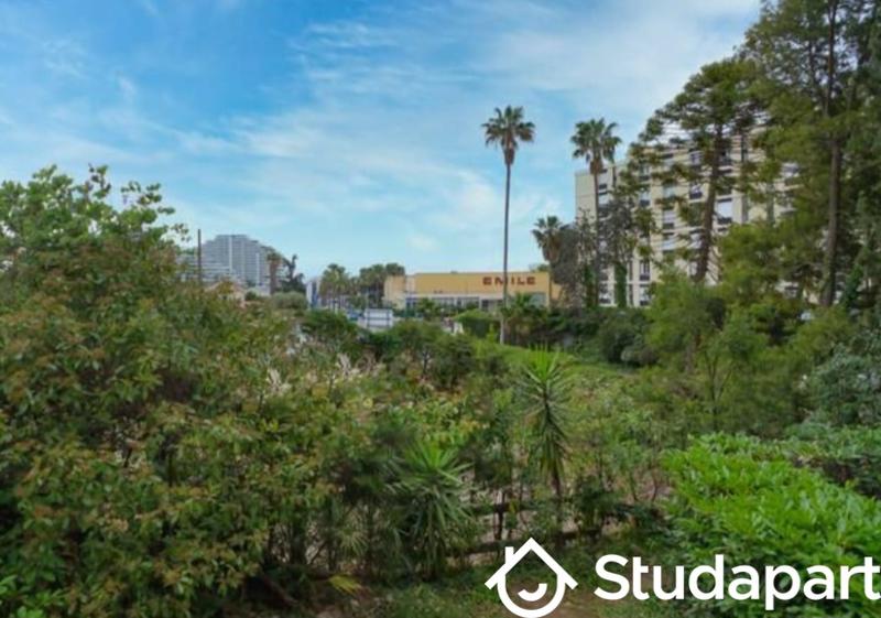 Appartement - 30 m² - 1 pièce