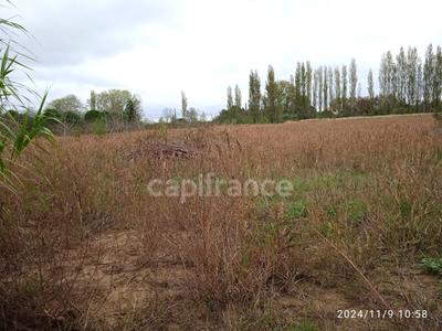 Terrain agricole - 6 250 m²