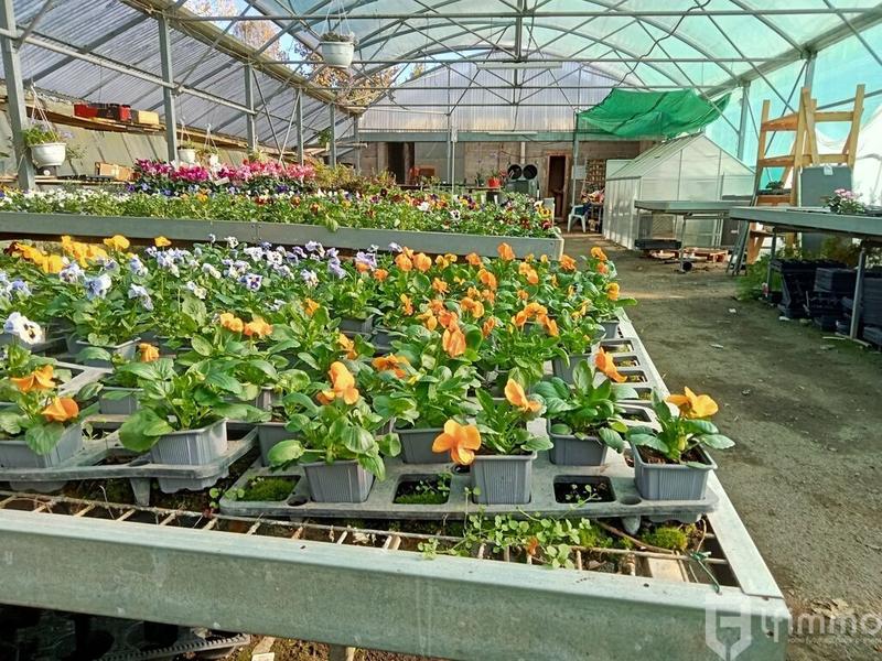 Fonds de commerce - Bureau - 3 000 m²