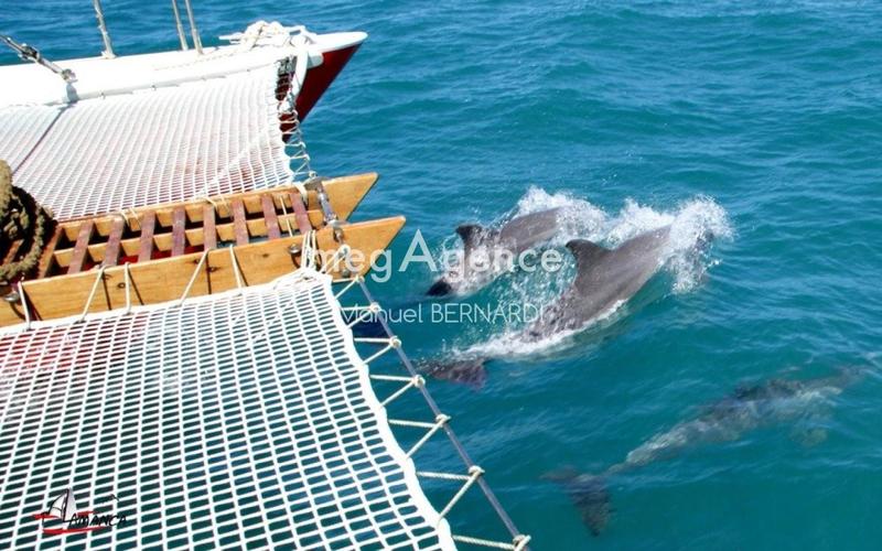 Fonds de commerce - Véhicules