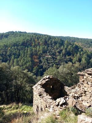 Maison - 300 m² - 1 pièce