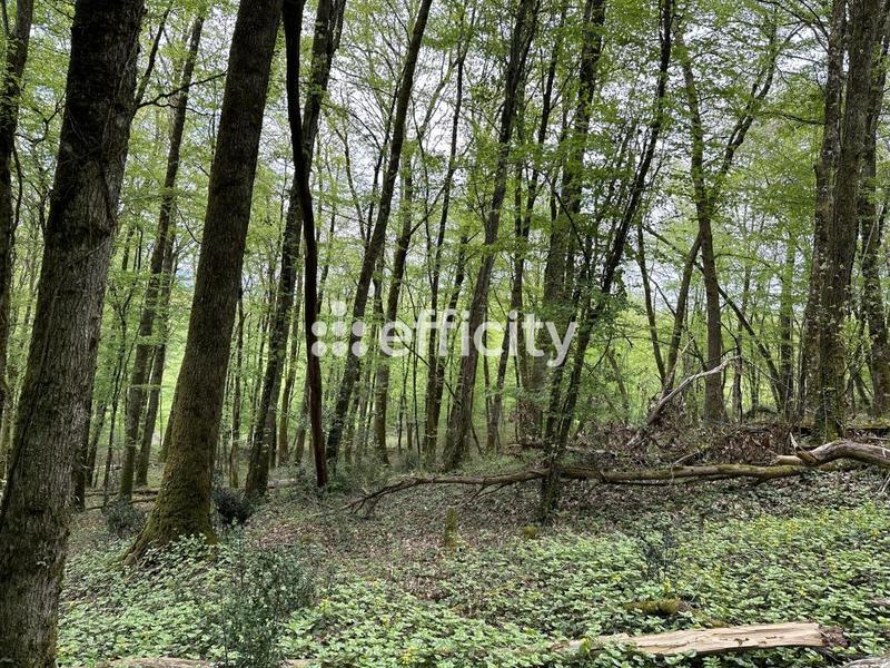 Terrain - 14 696 m²