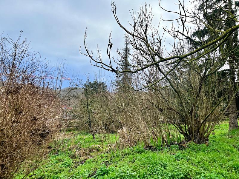 Maison ancienne - 130 m² - 6 pièces