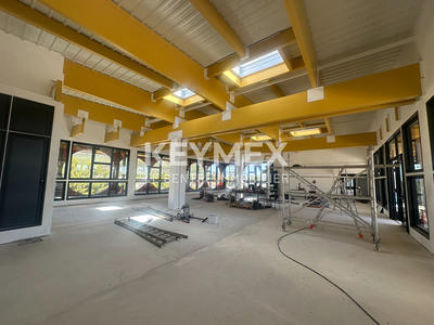 Local d'activité / Entrepôt - 333 m²