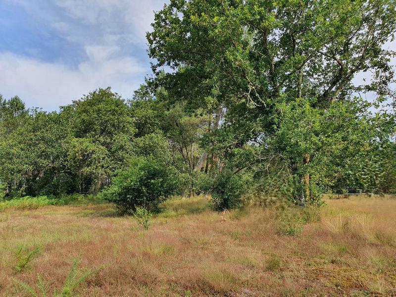 Terrain constructible - 2 400 m²