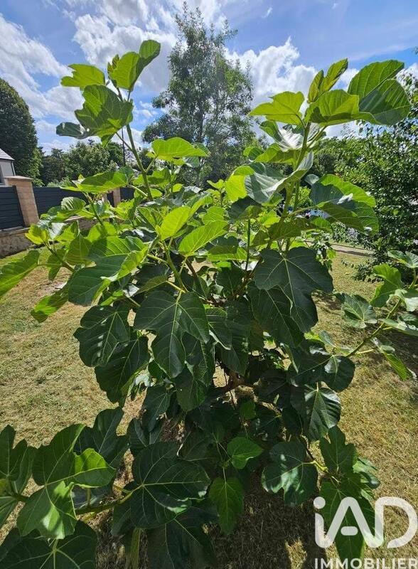 Maison - 152 m² - 7 pièces