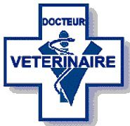 Proxi-vet, vétérinaire à domicile