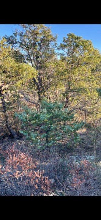 Terrain agricole - 6 500 m²