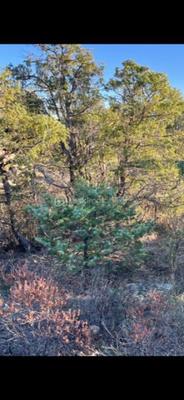 Terrain agricole - 6 500 m²