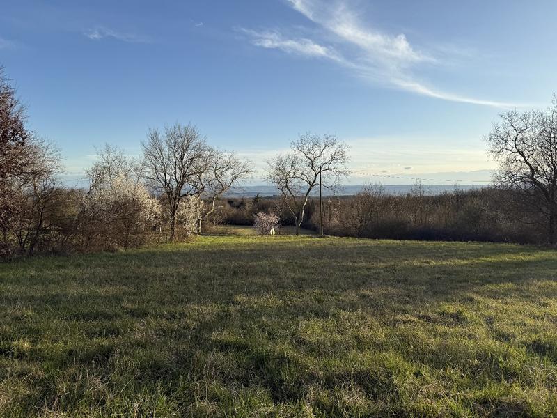 Terrain constructible - 1 902 m²