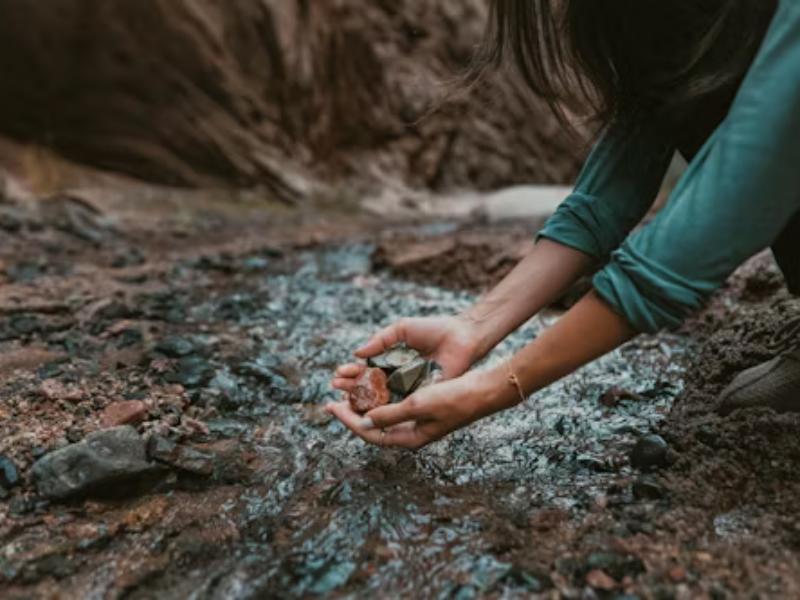 Balade sensorielle à Terres d'Oiseaux