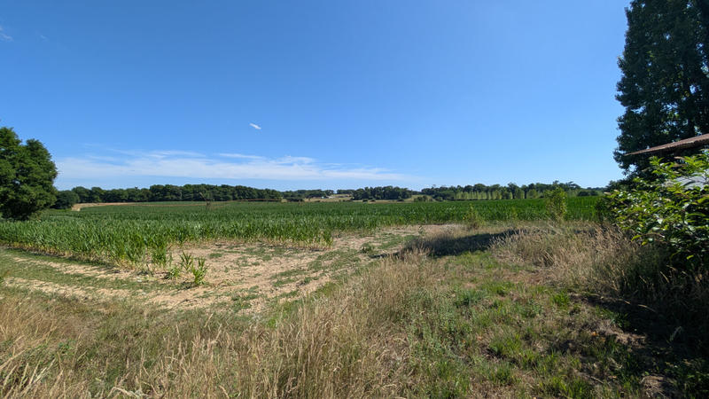 Terrain - 926 m²