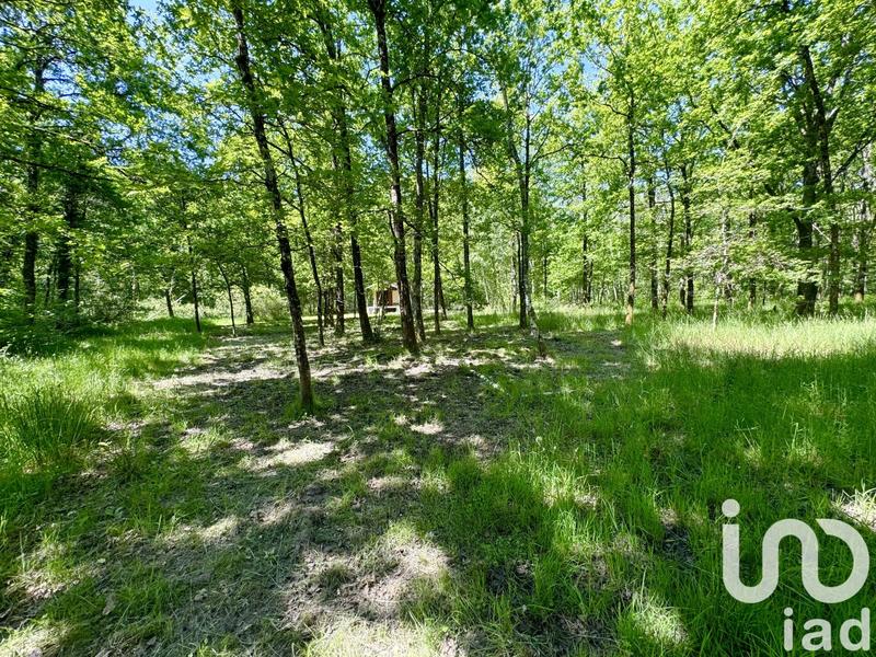 Terrain - 10 000 m²