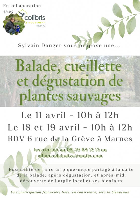 Ateliers cueillettes et dégustations de plantes