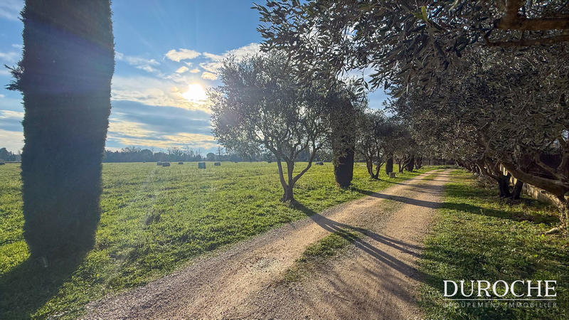 Mas - 97 m² - 4 pièces