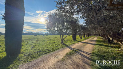 Mas - 97 m² - 4 pièces