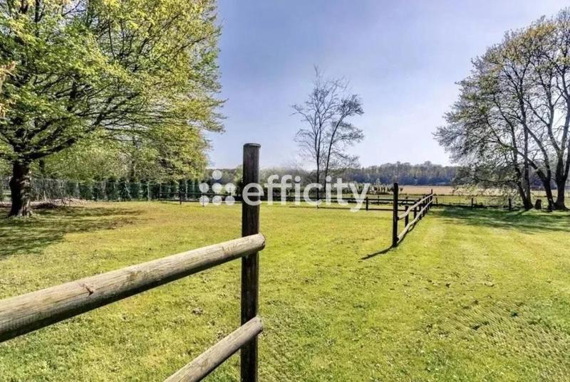 Château - 481 m² - 12 pièces