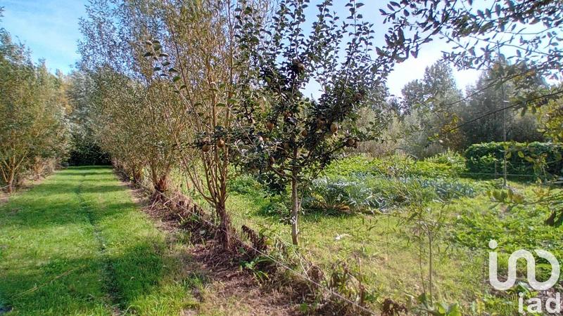 Maison - 642 m² - 14 pièces