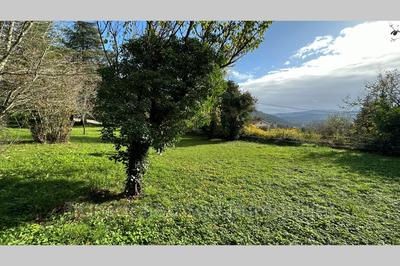 Terrain - 1 426 m²