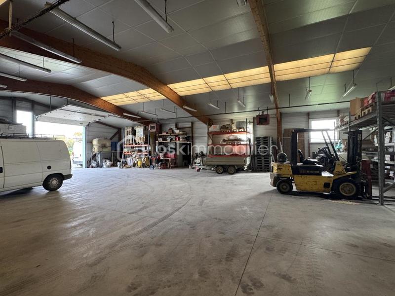 Entrepôt - 540 m² - 3 pièces